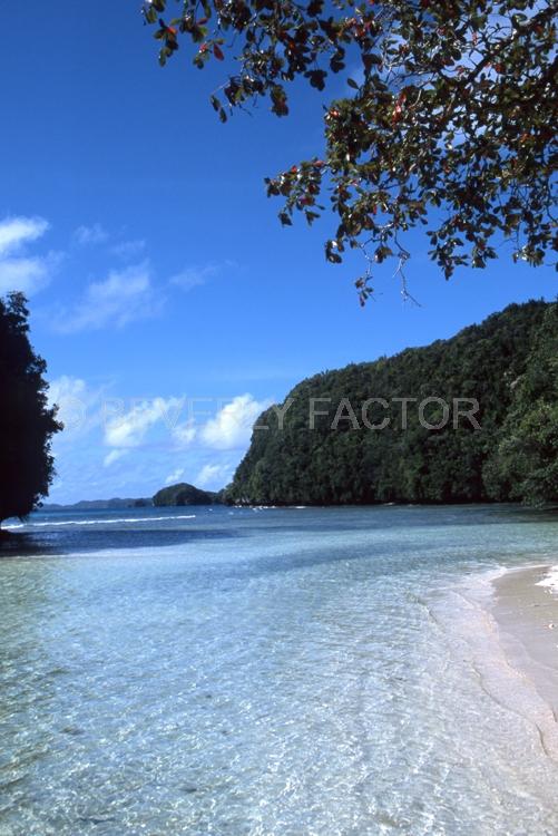 Island;Palau;blue water;sky;trees